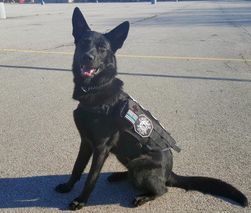 CPD K9 Black